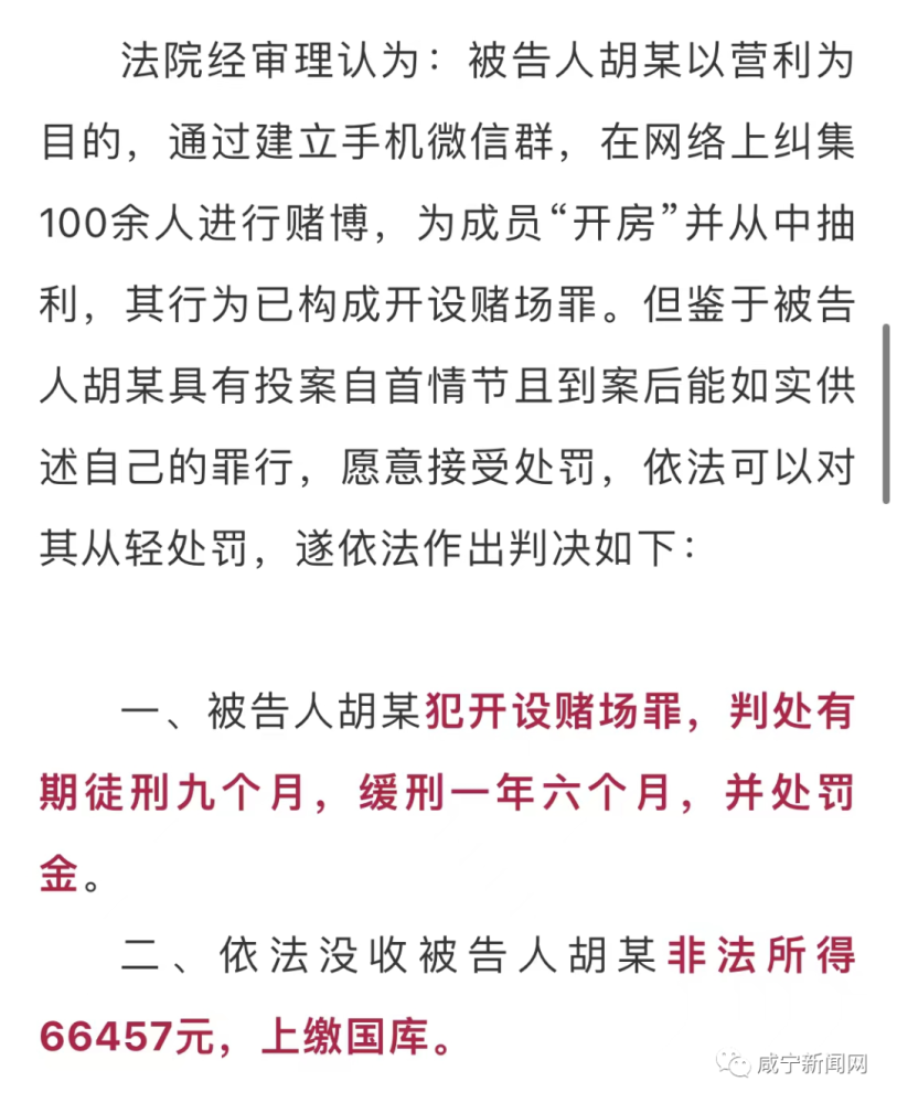 内部免费一肖一码,关于内部免费一肖一码的真相及其背后的违法犯罪问题探讨