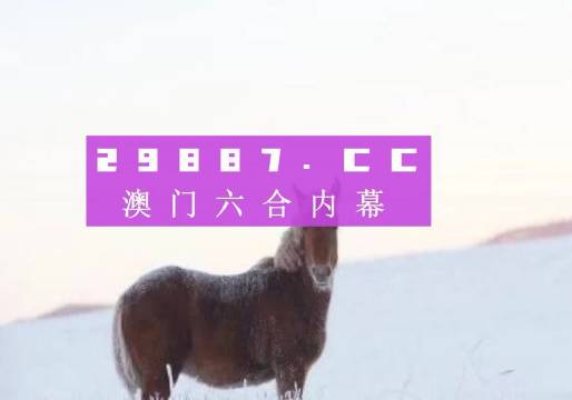 售前咨询 第339页