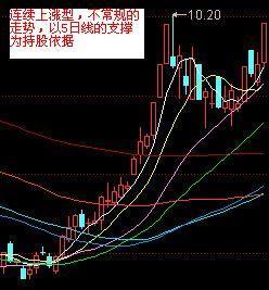 一码一肖100准码,一码一肖的独特魅力与精准度，揭秘准码背后的秘密