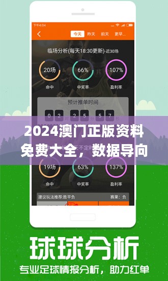 澳门王中王100%期期中,澳门王中王期期中的奥秘与探索