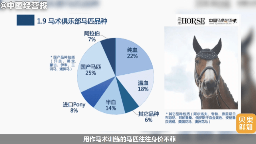 新澳门今晚开特马结果查询,新澳门今晚开特马结果查询，探索赛马世界的神秘面纱