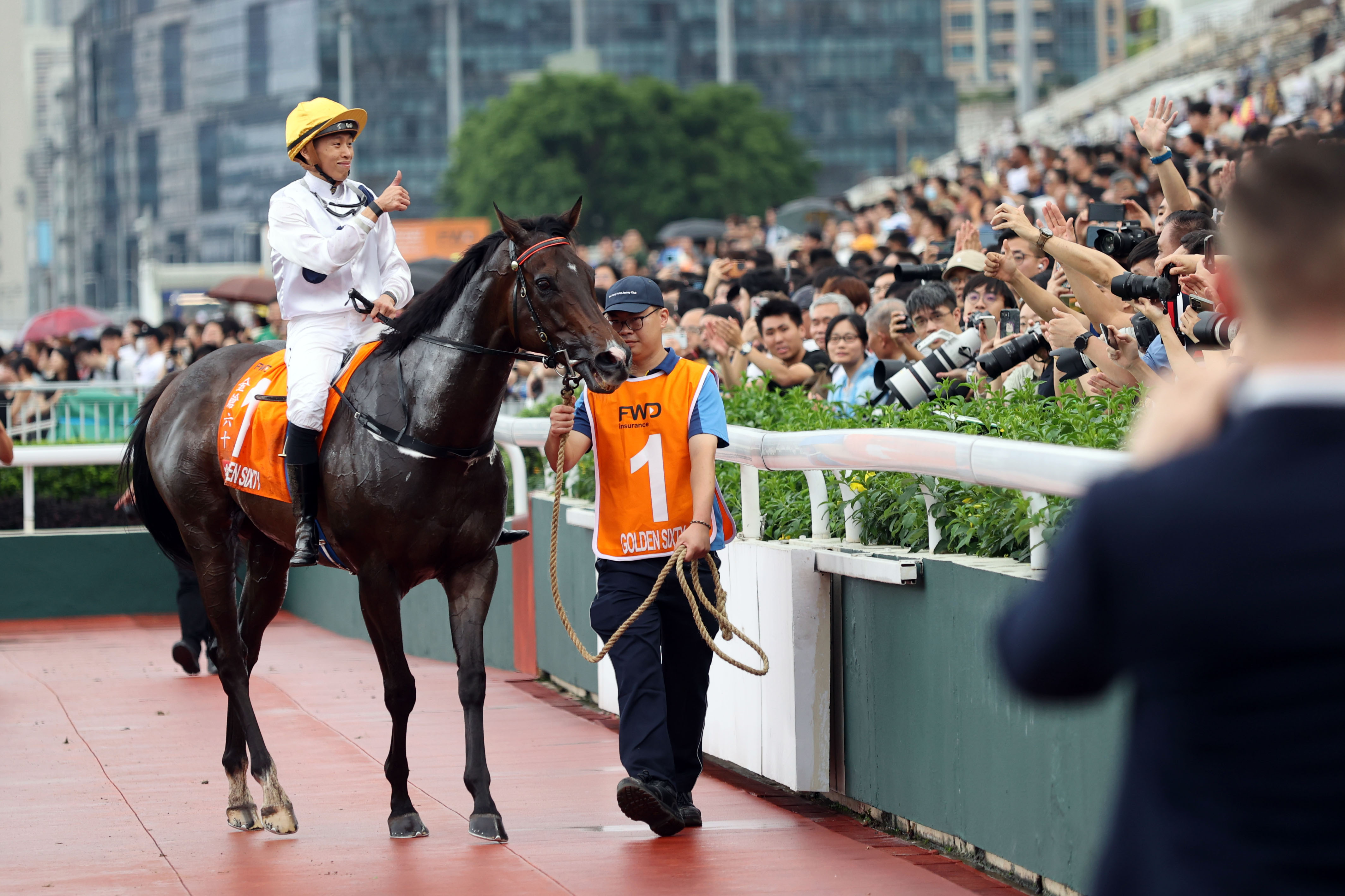 2024香港赛马全年免费资料,探索香港赛马，2024全年免费资料的独特魅力