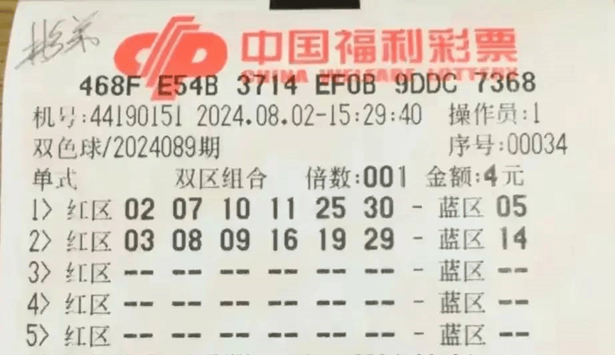 494949澳门今晚开奖什么,澳门彩票的开奖结果预测与解读