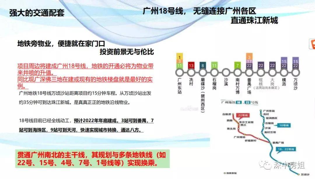 2025新澳资料免费精准051,探索未来，2025新澳资料免费精准051概览