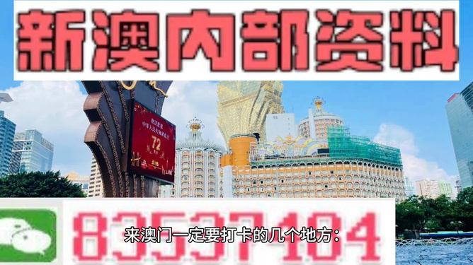 2025年新澳门王中王免费,探索澳门新纪元，2025年王中王免费现象