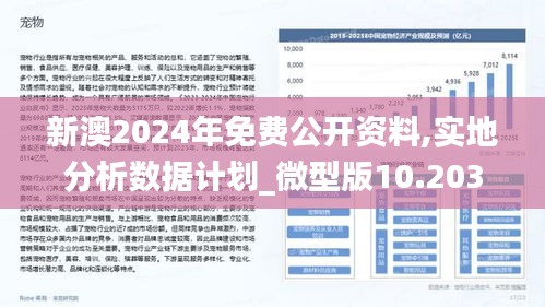 新澳2025大全正版免费资料,新澳2025大全正版免费资料，探索与启示